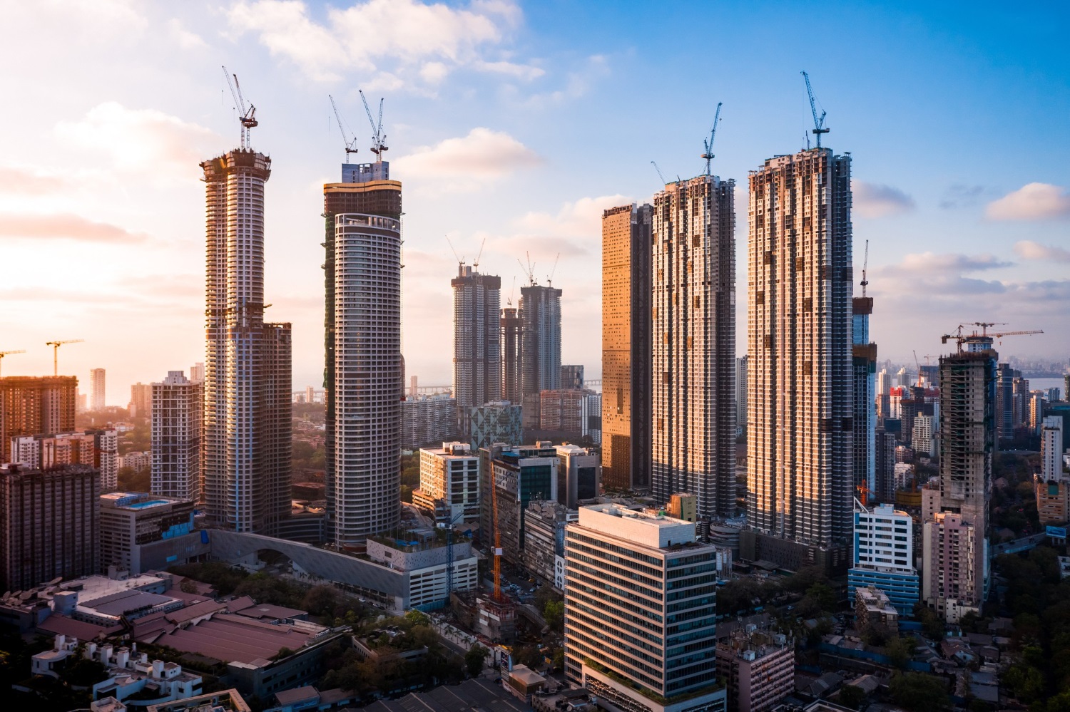 Building Construction & Real Estate